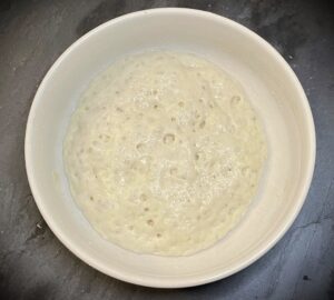 Biga starter has fermented.