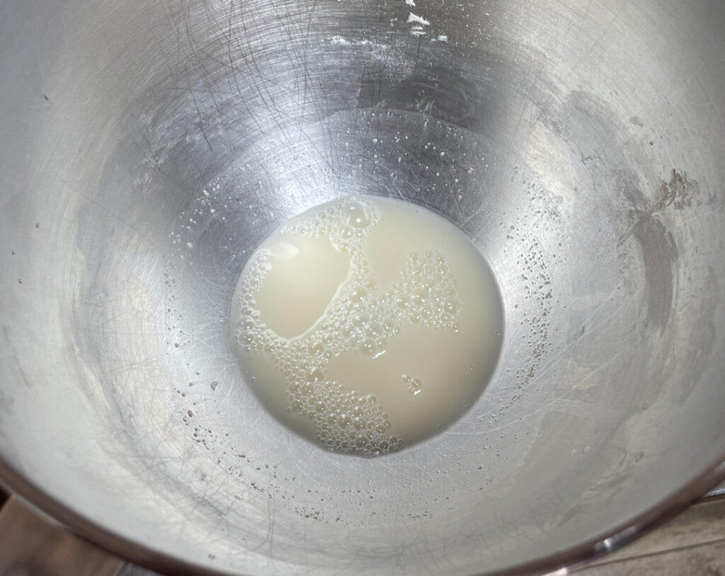 Bubbling yeast signals its alive and well!
