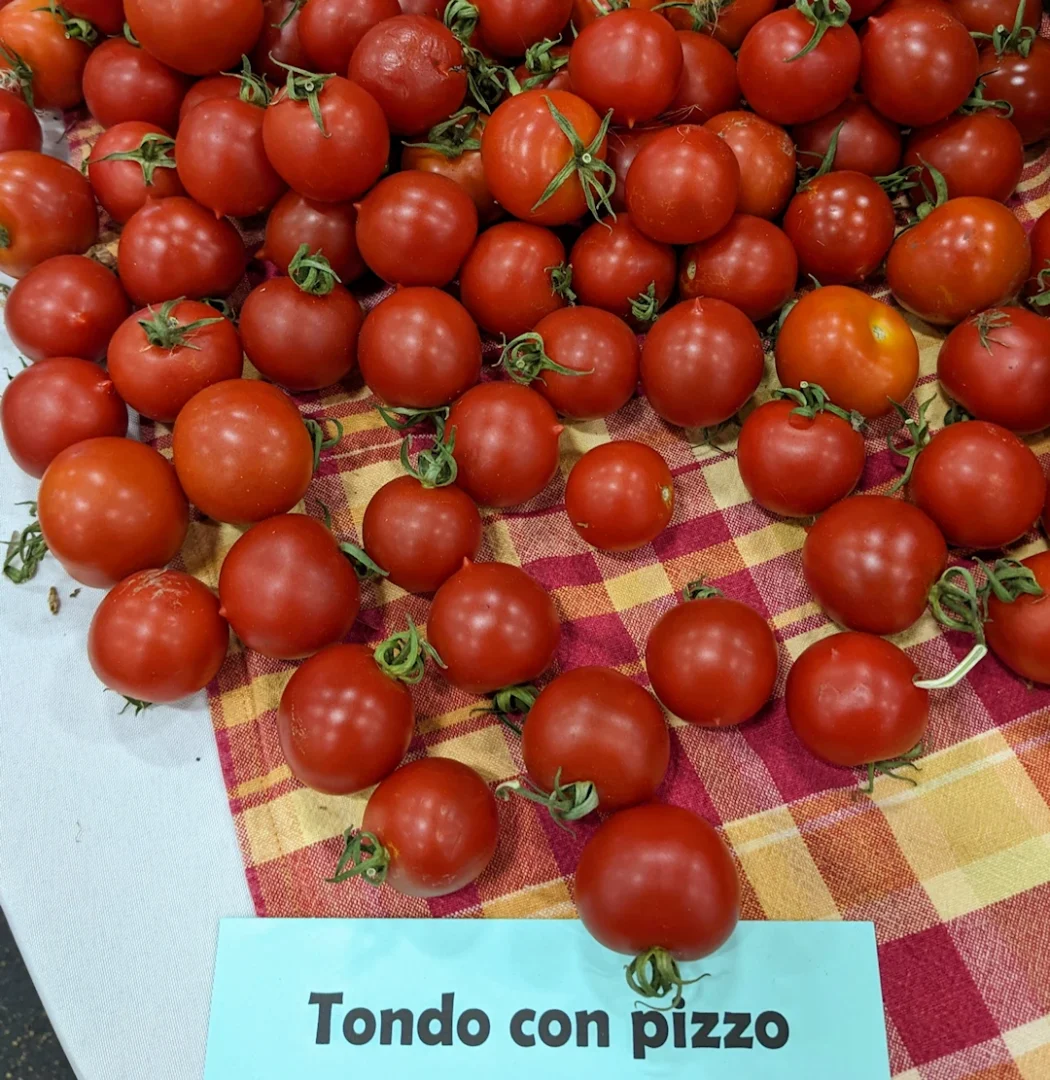 Tondo con Pizzo tomatoes at the festival.